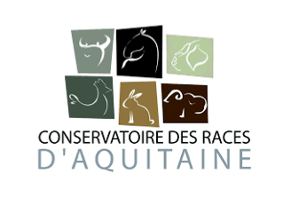 logo-races-daquitaine