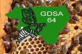 logo-GDSA64