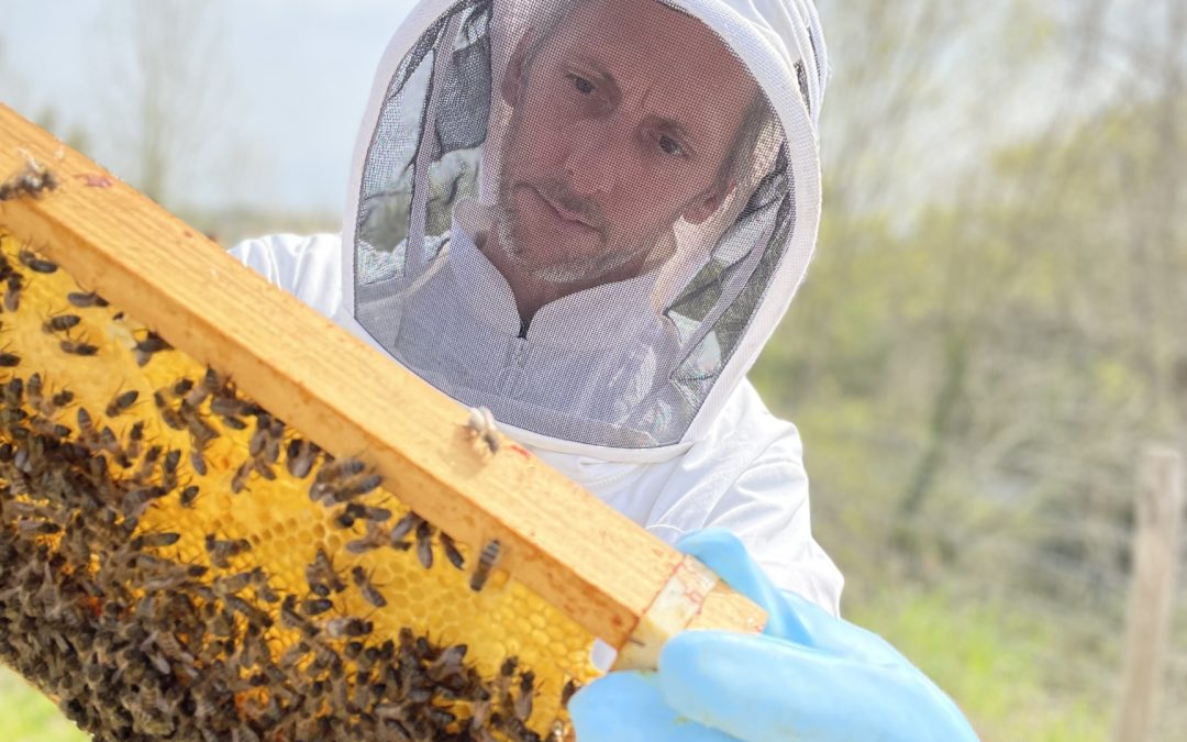Que se passe-t-il dans la ruche en mars 2022 ?