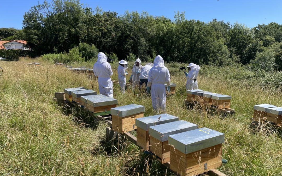 Des solutions pour conserver la biodiversité en Nouvelle Aquitaine