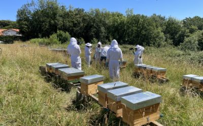 Des solutions pour conserver la biodiversité en Nouvelle Aquitaine