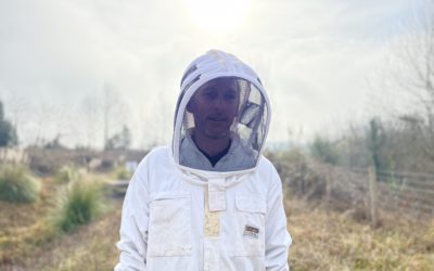 Que se passe-t-il dans la ruche en février 2023 ?