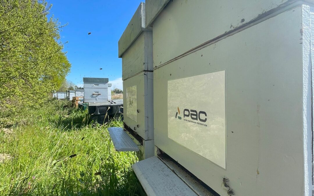 PAC Sécurité : un partenaire prévention engagé au service des entreprises